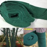 松原植物绷带裹树布保温效果好吗？