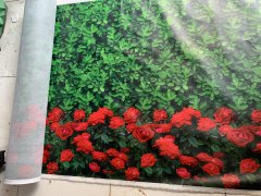 绿化无纺布多少钱一平方?