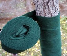 一颗大树做好防寒保温的用裹树布缠绕树木!