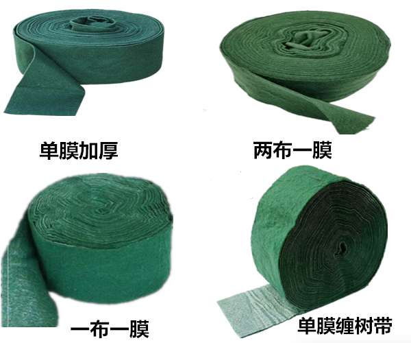 锦州纠缠银杏缠树布的特征和运用用途!
